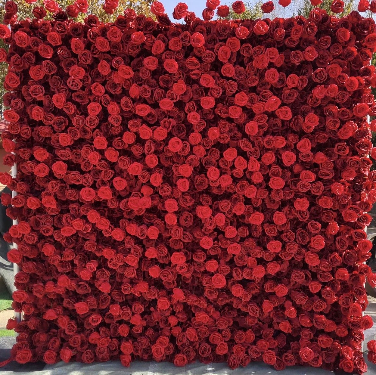 Red Rose Flower Wall